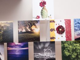 10 Mixed Designs Charitable Greeting Cards